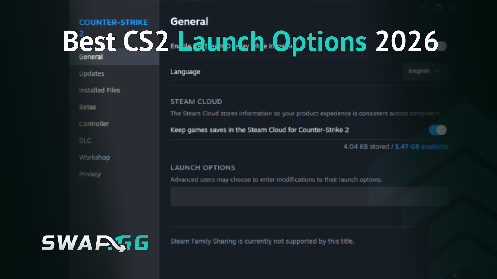 Best CS2 Launch Options in 2026: Cut the Dead Commands